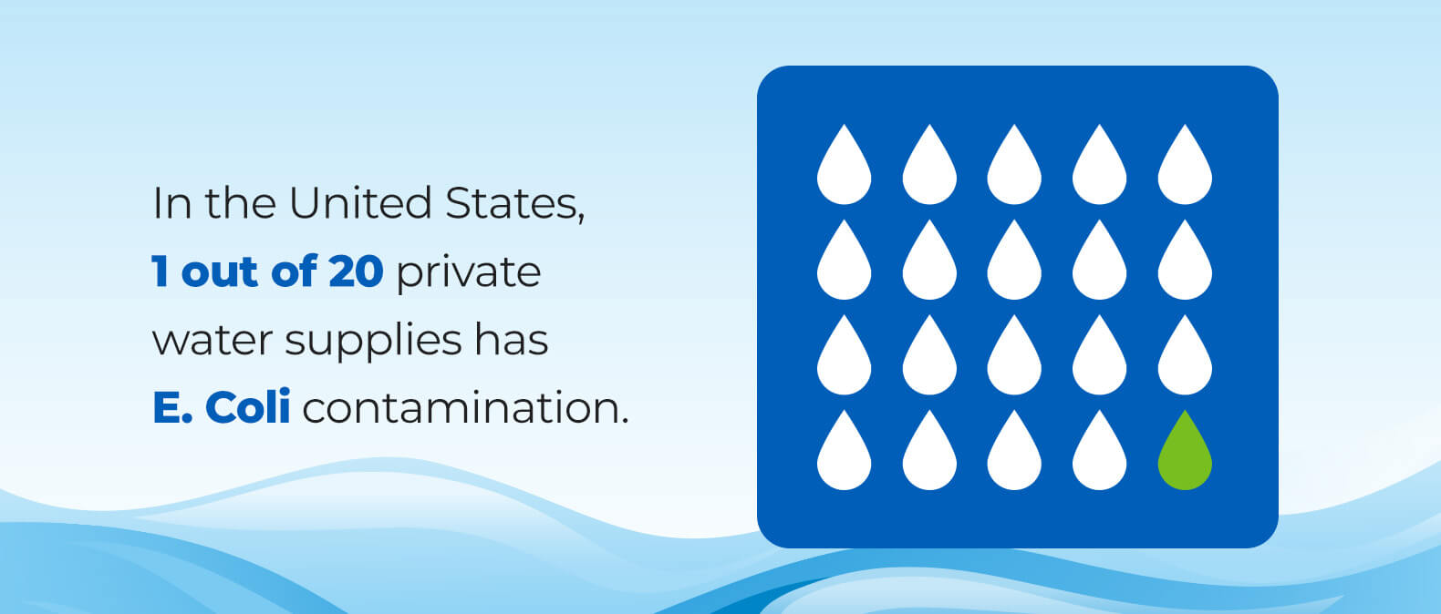 1 out of 20 private water supplies has E. coli