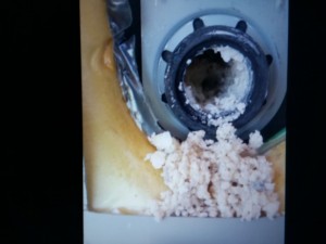 Water heater after seven years on 12 gpg hard water, scale preventing drainage